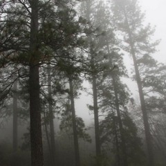 someone to hold (sadman x capsctrl)