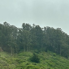 Franz Schubert: D.620 Einsamkeit