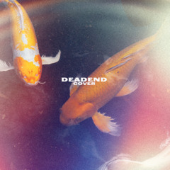 Dead End (COVER)