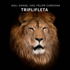 Triplifleta - Felipe Cardona, Daniel Vas, Agu (Original Mix)