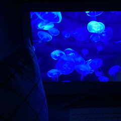 คนไกล-patrickananda