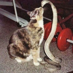 !M F4LLING 4LL 4ROUND U