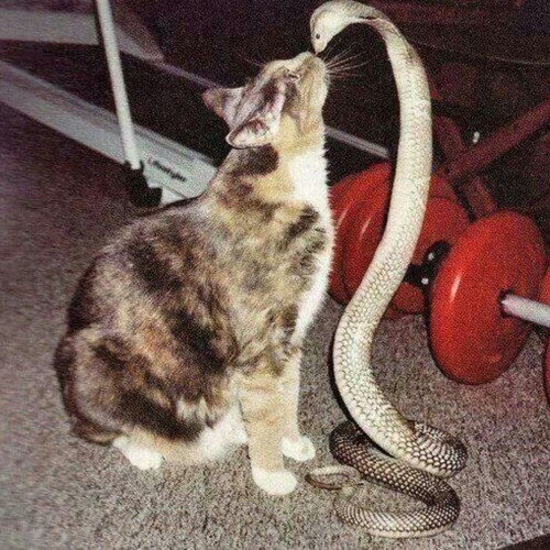 !M F4LLING 4LL 4ROUND U