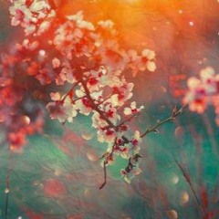 (FREE) - guitar/flute trap beat - 116 bpm / prod. by mjnk