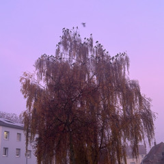 4THEM - Оттепель