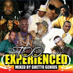 Too Experienced Pt II  (Ghetto Genius)