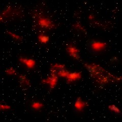 DAV1D - DEEP 1N GUTS (Prod by fwthis1will + prodlovesick)