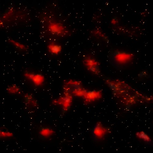 DAV1D - DEEP 1N GUTS (Prod by fwthis1will + prodlovesick)