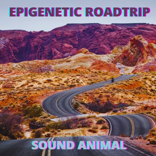 Epigenetic Roadtrip