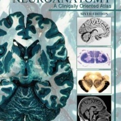 PDF READ Basic Human Neuroanatomy: A Clinically Oriented Atlas