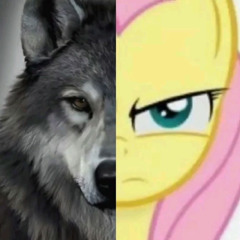 Confession Ultime 𖦏 feat / @Feuj2cite 🗡🗡🗡🗡