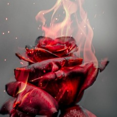 FLOWERS FOR A SOUNDBOY(Reply to Eone)
