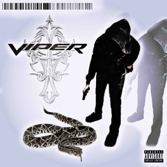 viper [prod. petran]
