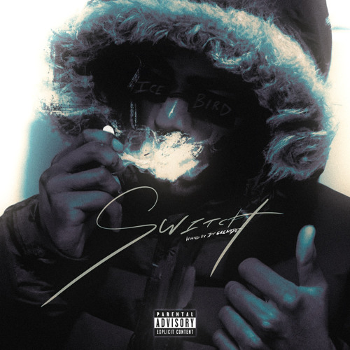 IceBirds - Switch [Prod: Tripp3] [@DJGren8de + DJ Phat Exclusive]