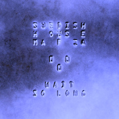 Swedish House Mafia - Wait So Long (DADI Remix)