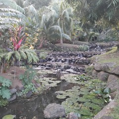 Vaipahi