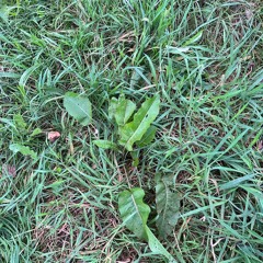 49m² | 新录音 140