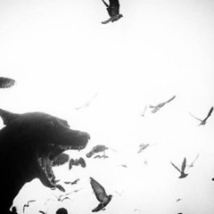 Toute ma vie (prod estino)