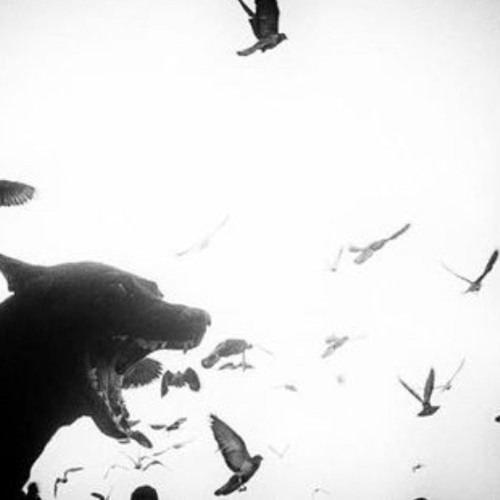 Toute ma vie (prod estino)