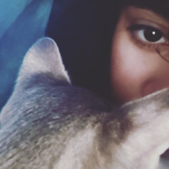 ILOVECATS