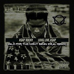 Wild For The Night (Sean Ziral Remix) - A$AP Rocky & Skrillex