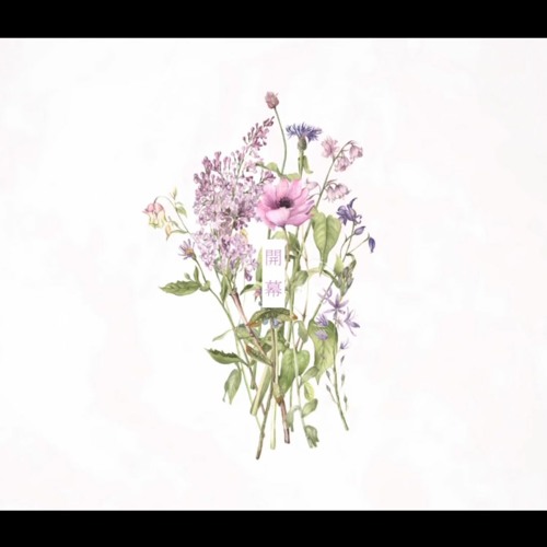 Stream ロヒプノール 楽園市街 Cover めいちゃん By Scoop 2 Listen Online For Free On Soundcloud