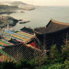 Review Special Price Private Busan Tour With Gamcheon Culture Village And The Temple Customizable