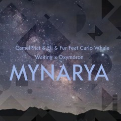 Waiting x Oxymoron (  MYNARYA EDIT  ) FREEDOWNLOAD