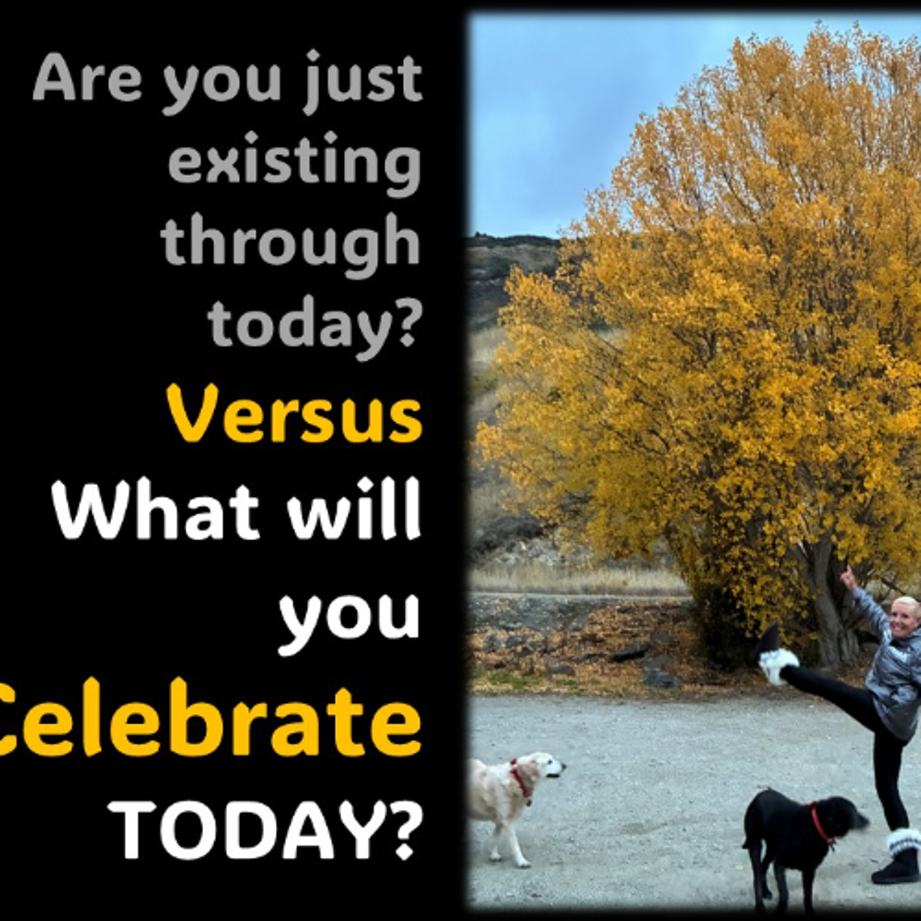 Today…Will You Just Exist or Celebrate Being Alive