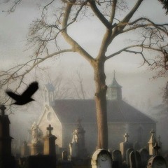 𝖓𝖚𝖙𝖘𝖍𝖊𝖑𝖑 ҂ 𝖆𝖑𝖎𝖈𝖊 𝖎𝖓 𝖈𝖍𝖆𝖎𝖓𝖘