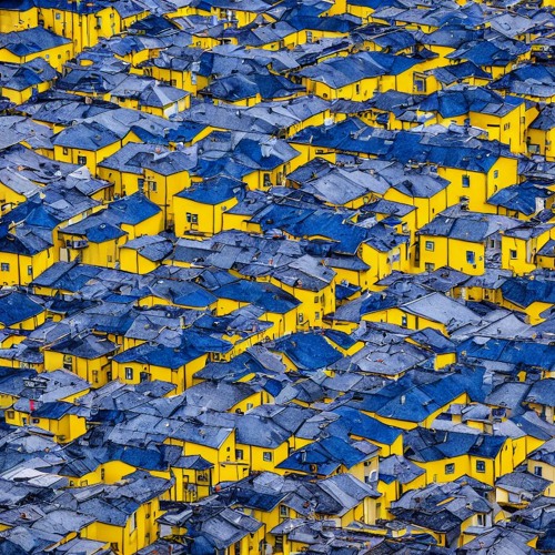 Barren Rooftops