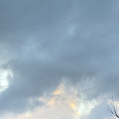 how strange is it to be anything at all?