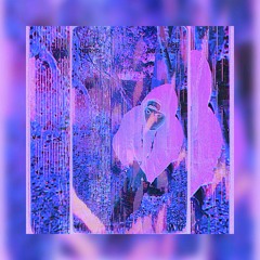 VERY RARE ✈︎ (Prod. cr1sis)