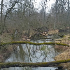 Zerkow - Czeszewo Landscape Park
