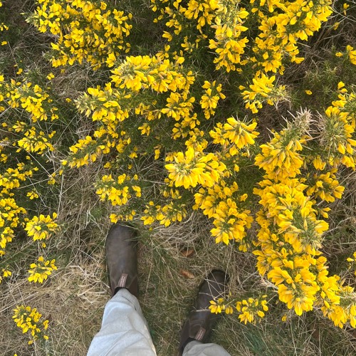 blŵm 001 ~ slinky Latino Afro tech house