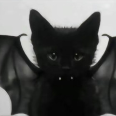 watch the snow fall with me