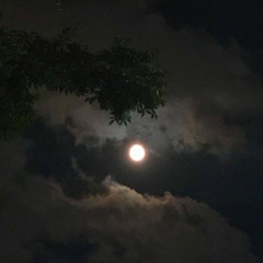 봄여름가을겨울