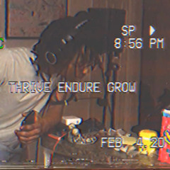 untitled mane - 11/15/20