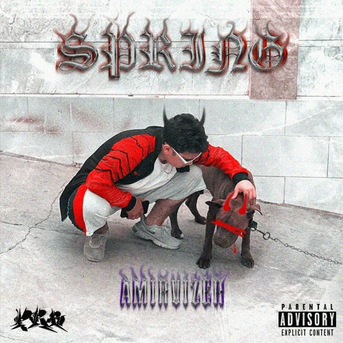 Spring - Amir Vizer [Prod by. Night Content & 30Na]