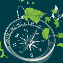 Navigator 990 - 16 Lightyears - Free Download