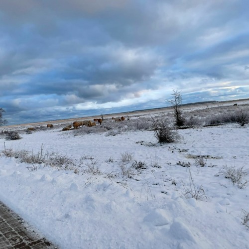 Deep & Progressive House - a selection of my favorites Tracks - Winter Trilogy Part 3 by Bitter