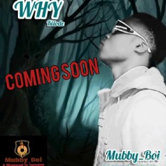Mubby Boi  WHY (MixedByStylish).