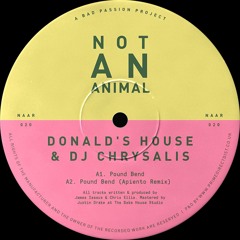 Donald's House & DJ Chrysalis ─ Pound Bend [NAAR020]