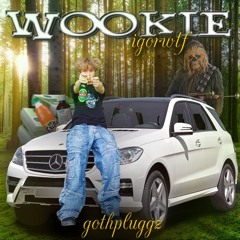 igorwtf - wookie (prod. igorwtf)