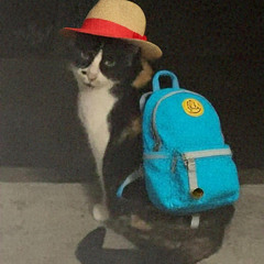 “just cry cry cry”