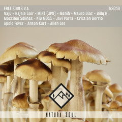 I'll Do That (Original Mix)