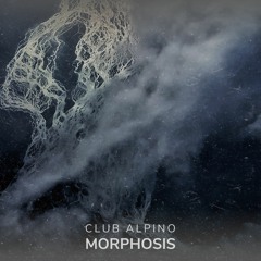 Morphosis III