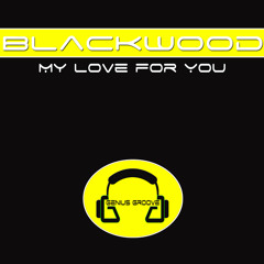 My Love for You (Remix by Blackwood)