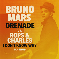 Bruno Mars - Grenade (Rops and Charles I Don't Know Why Edit)