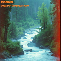 Cuerpo Orquestado